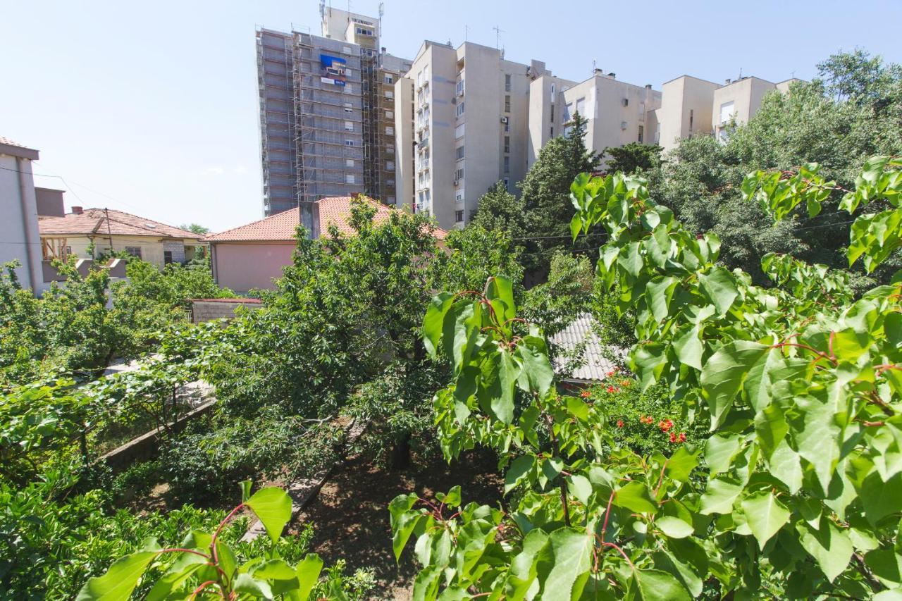 Apartman Andrijana Zara Esterno foto